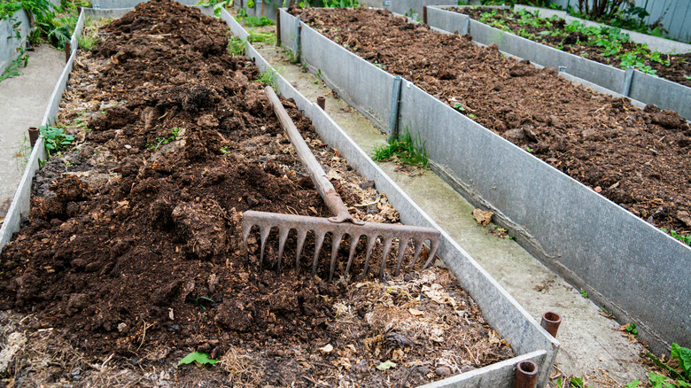 A rake laying down in a raised garden bed.
