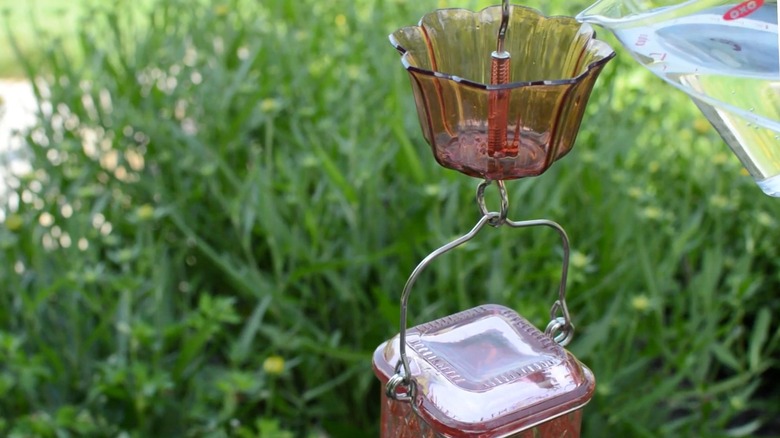 Person filling hummingbird feeder's ant moat with clean water.