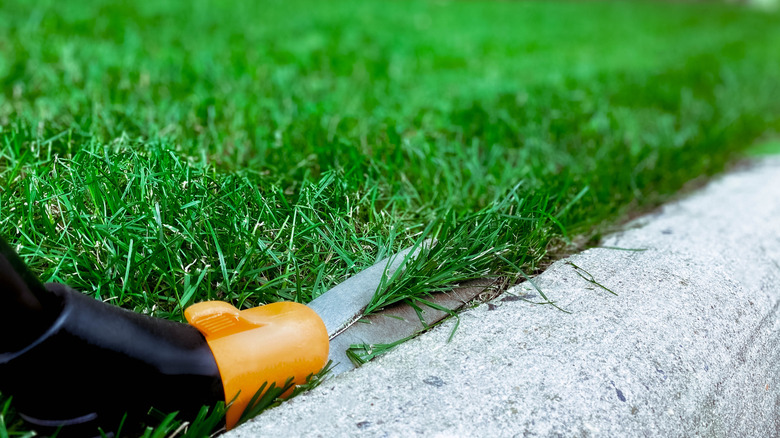 A closeup of grass shears cutting the edge of lawn next to the curb.