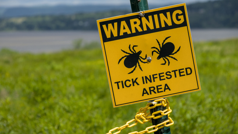 A warning sign about tick infestation in a grassy area near a river.