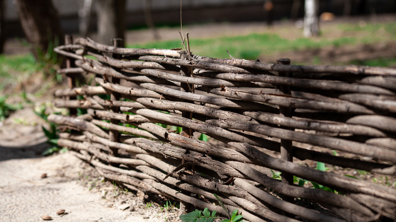 Wattle fencing in a yard