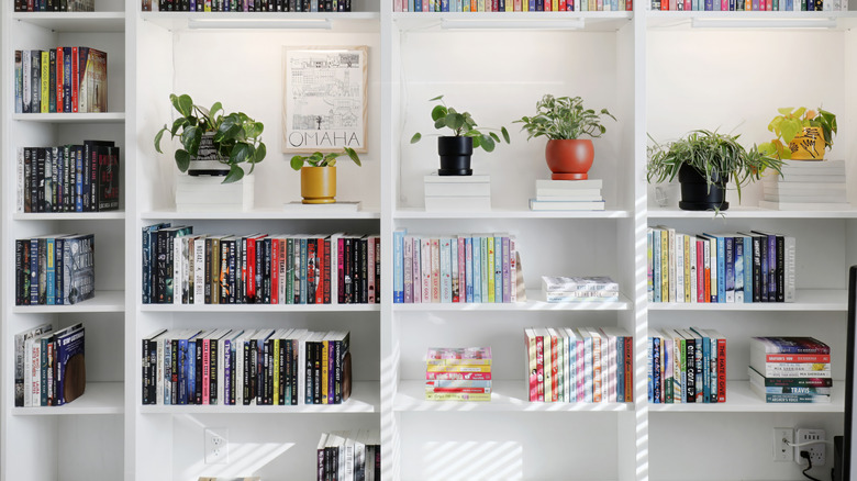 Organized home bookshelf