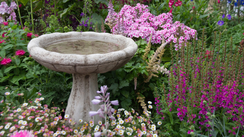 A bird bath surrounded by flowers and plants