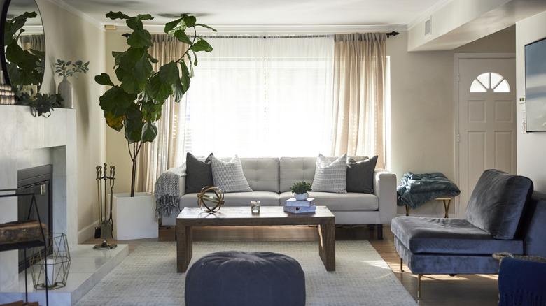 Cozy living room