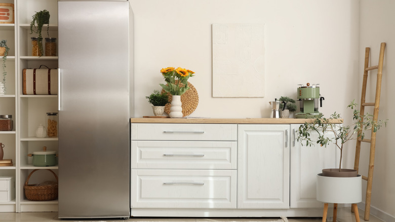 Stylish kitchen with white walls and white cabinets and bookshelves painted in slighty brighter white color than the walls