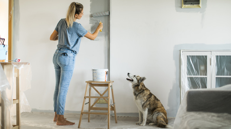 Woman painting walls
