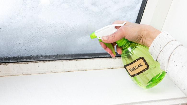 Spraying window with vinegar bottle