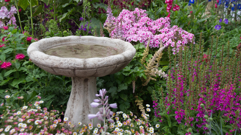 stone birdbath in garden