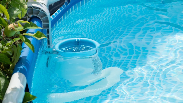 Skimmer basket in pool