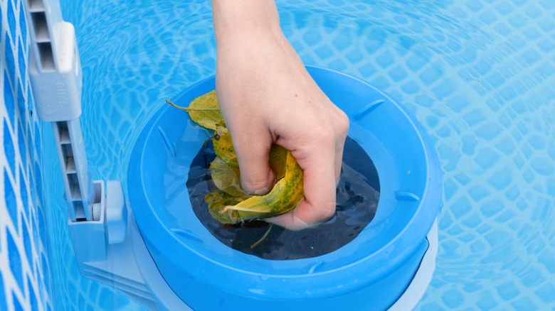 Person cleaning skimmer basket