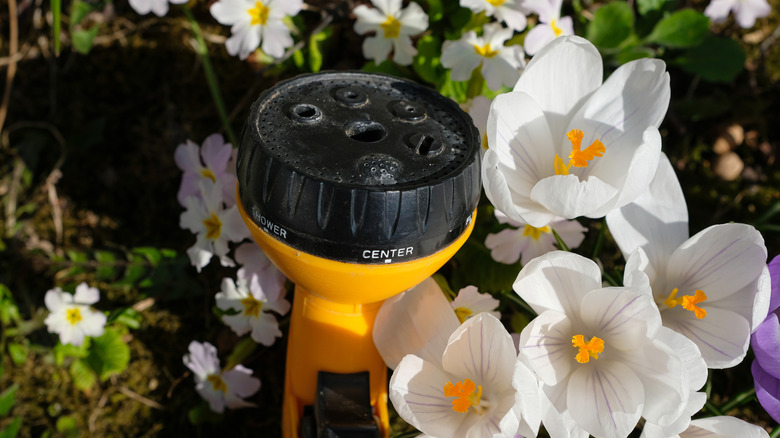 Close-up shot of garden hose nozzle among flowers