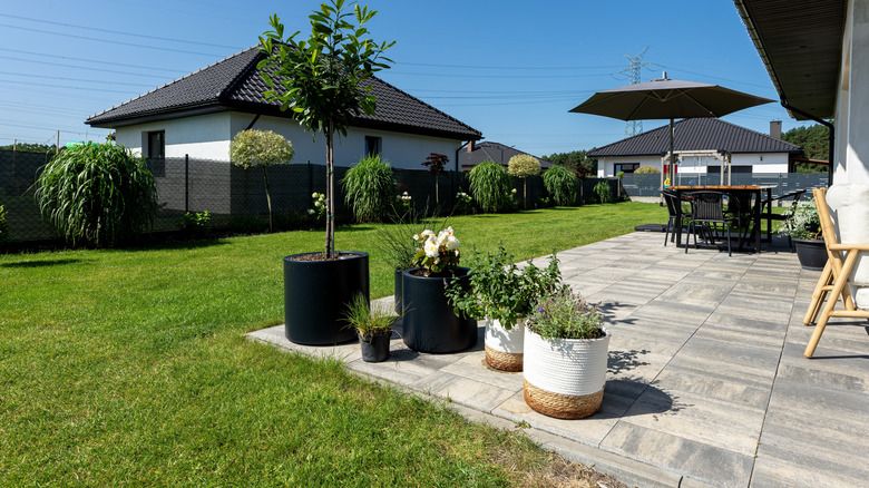 A sunny paved patio with a neatly trimmed lawn adjacent to it and a few large planters on the edge