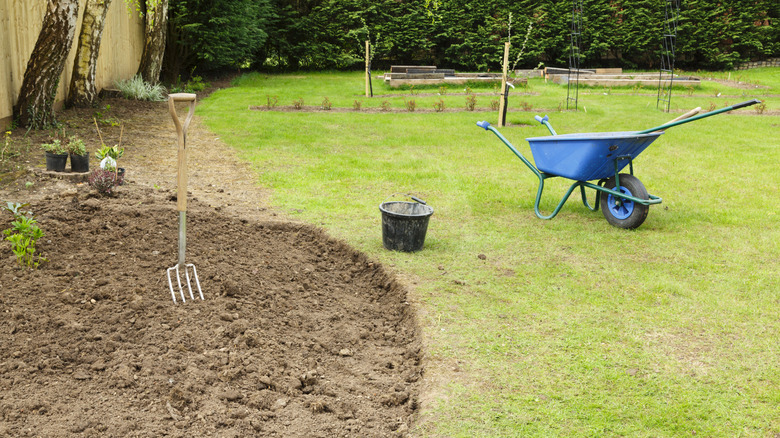 A rake stands upright in a freshly dug-over garden bed while a wheelbarrow and bucket sit nearby on the lawn in a backyard.
