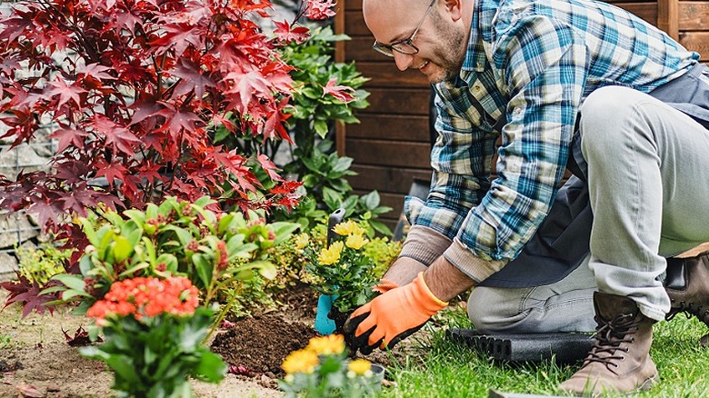 A person smiling while planting flowers and various plants in a garden space on the edge of a lawn near a wall