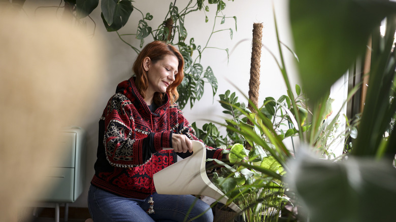 Woman tending to various indoor houseplants