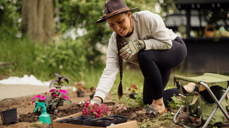 person planting various flowers in garden
