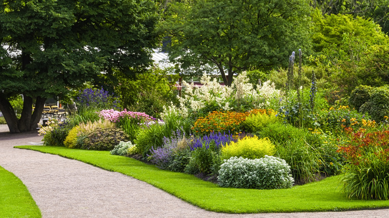 garden with grass and flowers