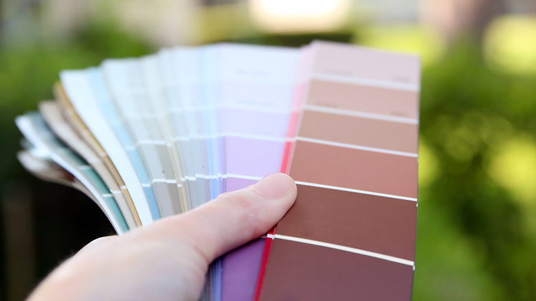 person holding paint swatches