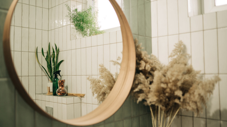 Multiple plants can be seen growing around or reflected in a bathroom mirror.