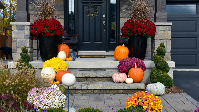 Different pumpkins on porch