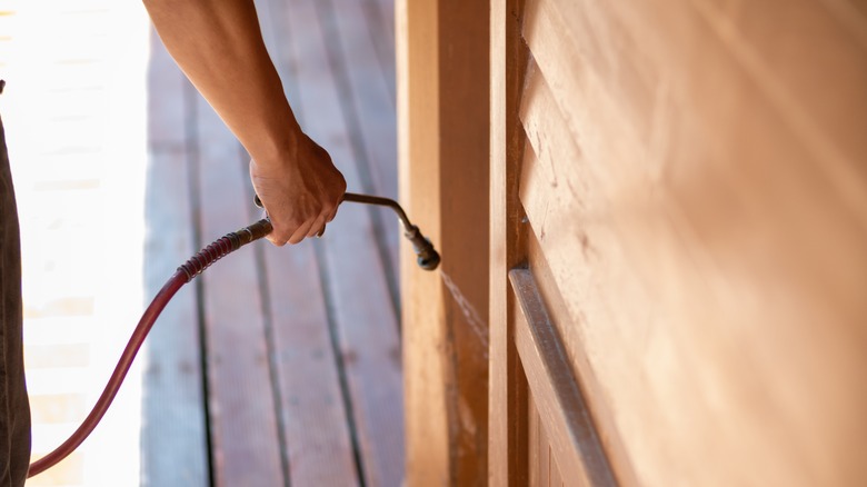 Spraying wood for pests