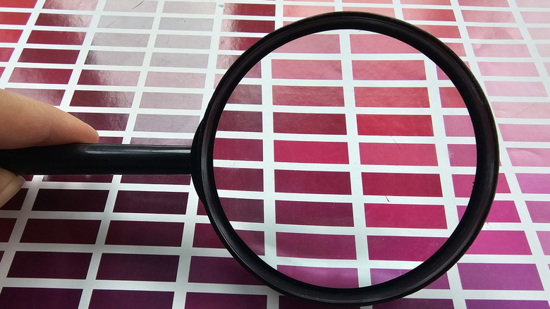 magnifying glass examining pink shades