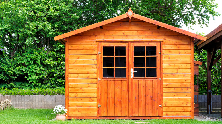 Backyard garden shed