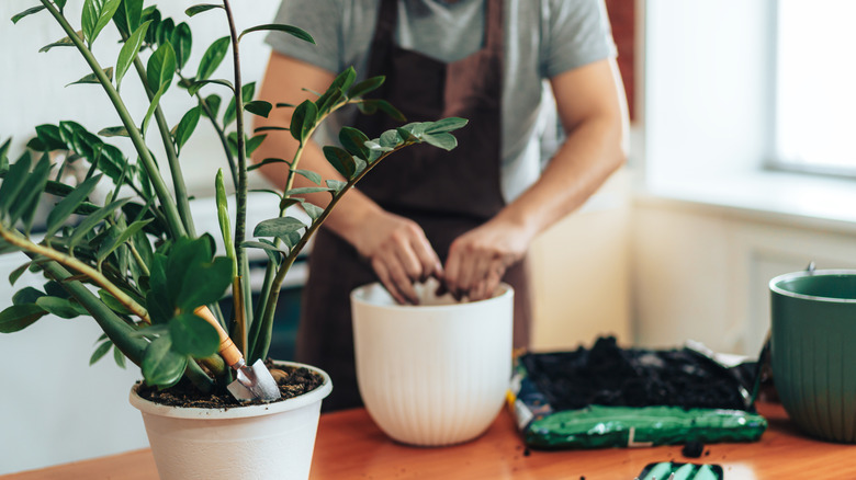 Man placing soil in a white pot for plants