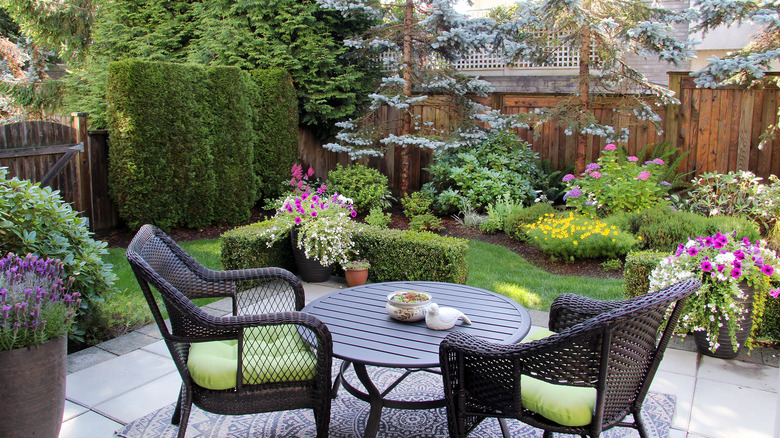 backyard with many plants