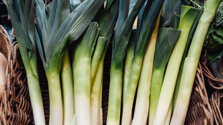 A basket full of harvested leeks sit ready to cook.