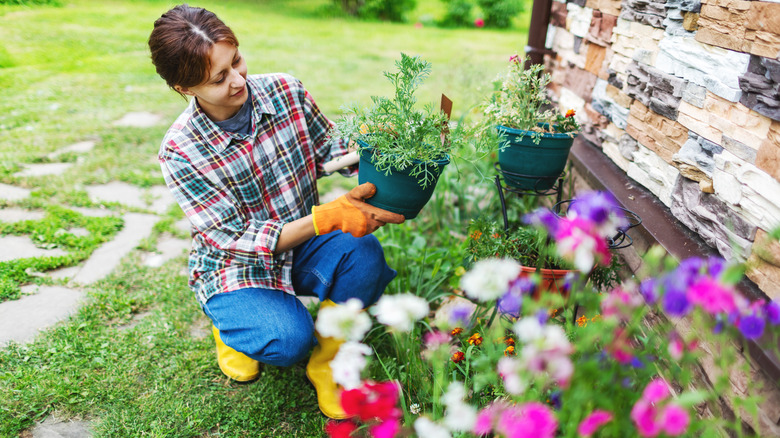 woman planting flowers in garden