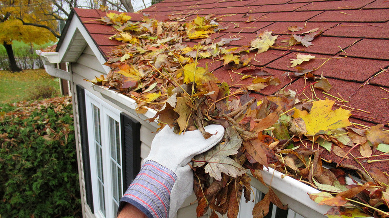 Person cleaning gutter
