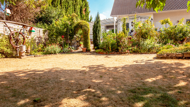 Patchy grass around a home