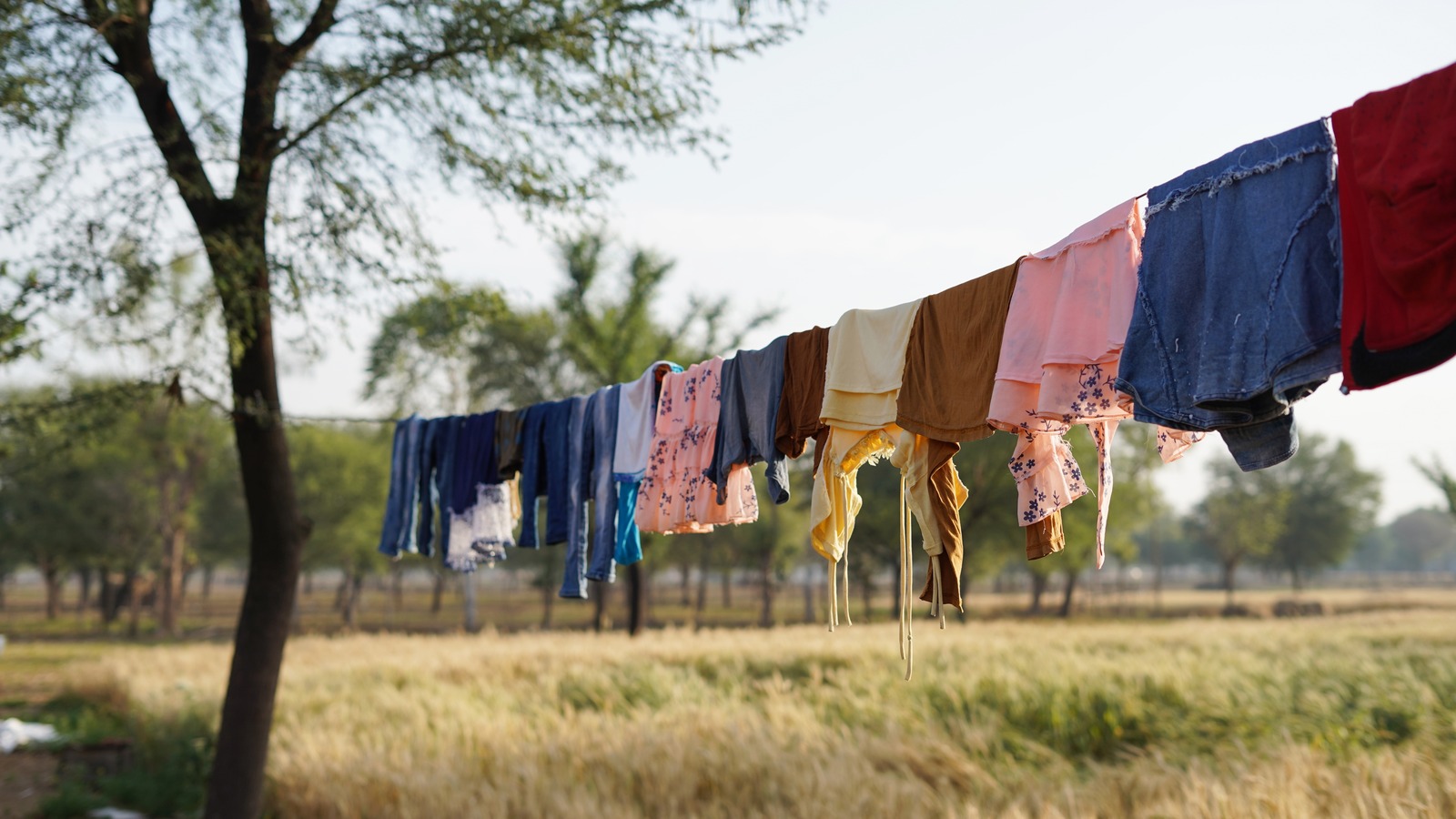 The Pool Noodle Hack That Keeps Air-Dried Laundry Crease-Free ...