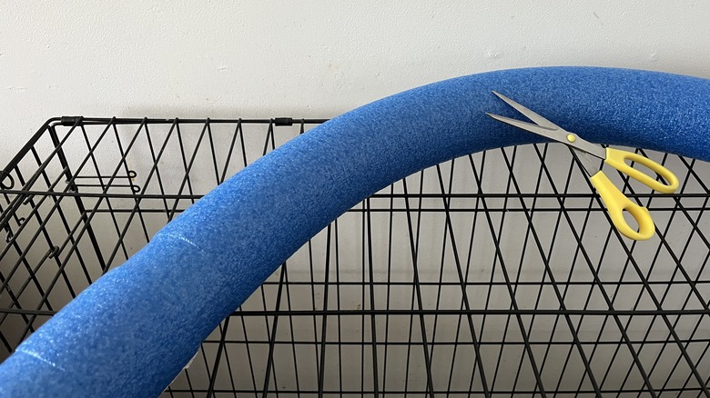 Pool noodle with scissors and crate