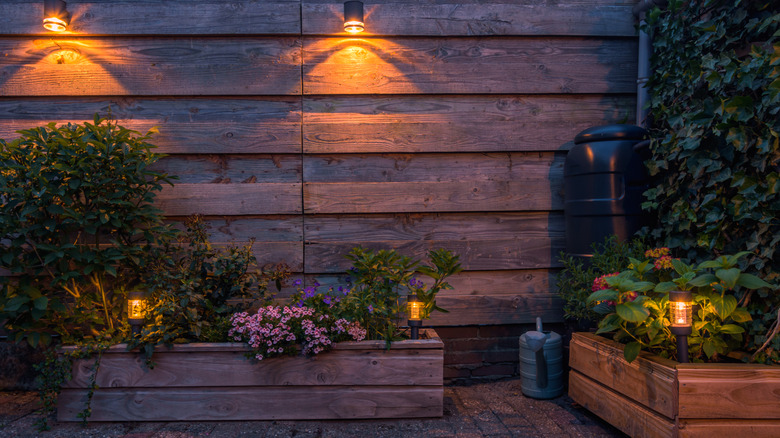 Spotlights shining on flower beds in backyard