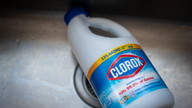 Container of Clorox bleach laying sink