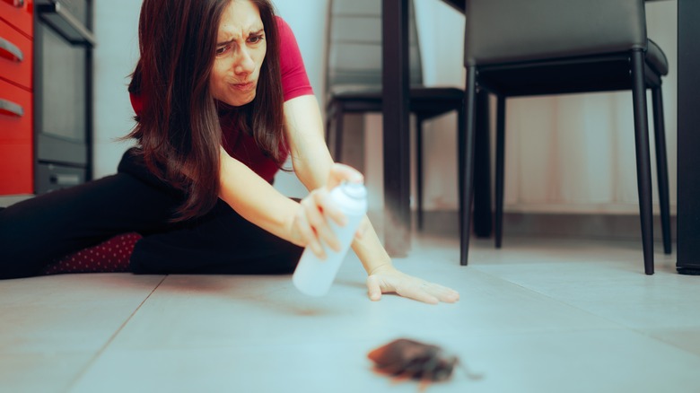 Woman spraying roach on floor