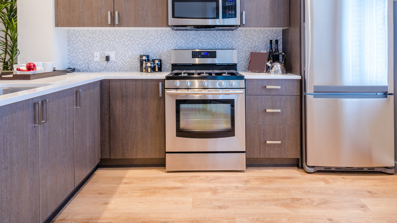 modern kitchen layout with stainless steel appliances and large plant