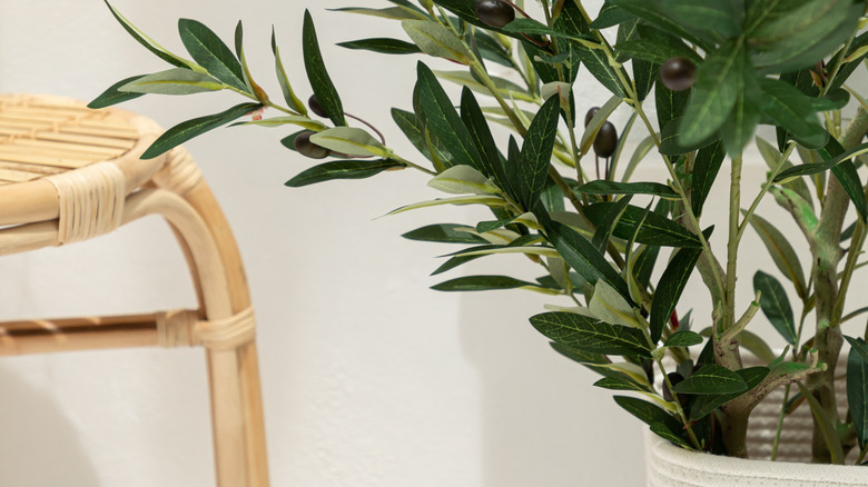 Fake olive tree with green leaves and black olives.