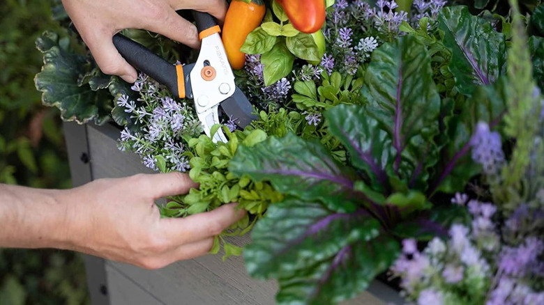 The CedarCraft self watering planter