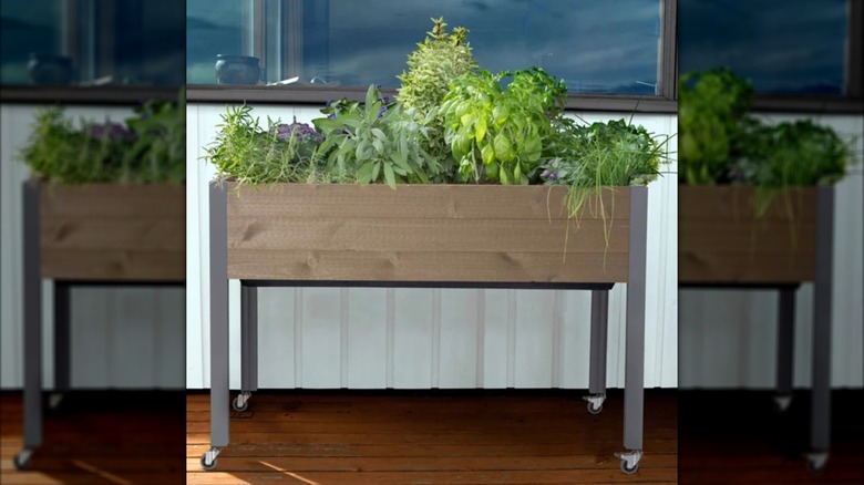 The CedarCraft self watering planter