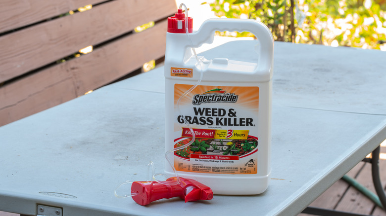A bottle of Spectracide Weed & Grass Killer on a table