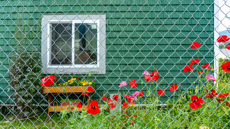 Metal chain link fencing around a house and garden