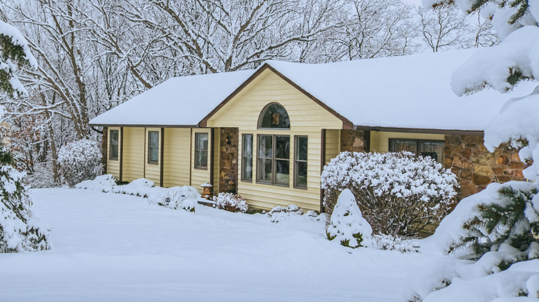 A yellow house with dormant landscaping covered in snow.