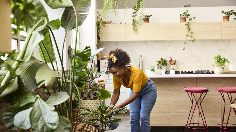 woman tending to houseplants