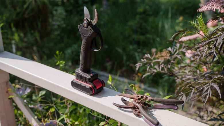 Pruning tools sitting on the railing of a wooden deck overlooking a backyard garden.