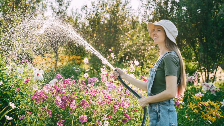 Woman watering a garden with a hose.