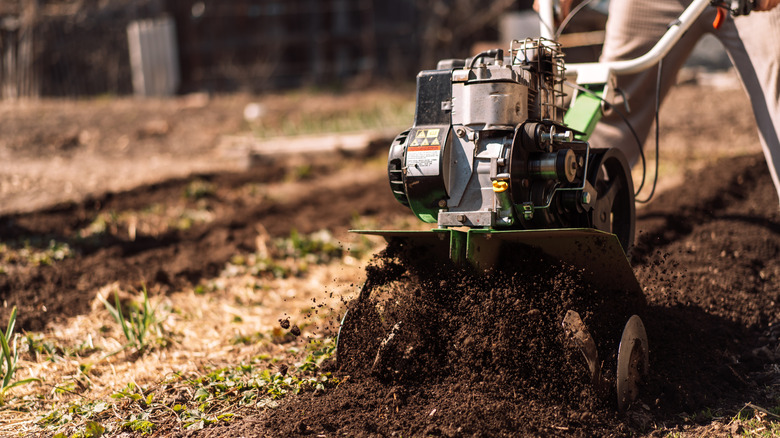 Tilling garden with rototiller