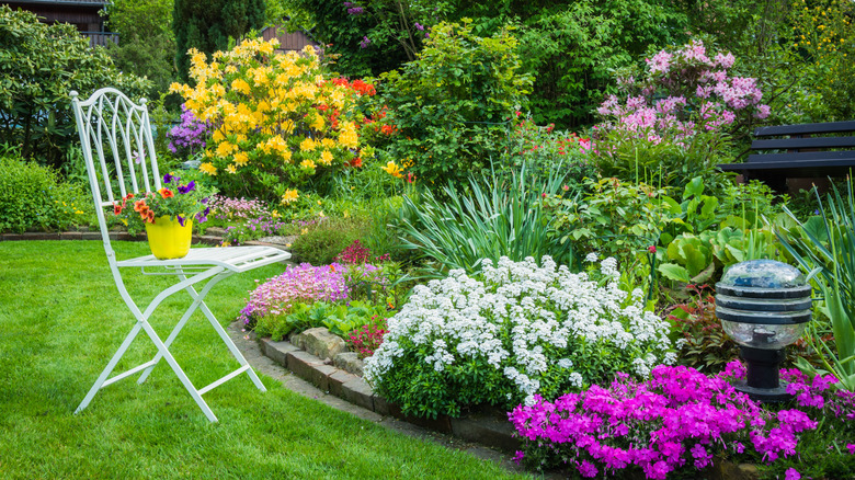 A serene garden with a single metal chair that has a yellow plant pot resting on it, in the garden there are rhododendrons, azaleas, alyssum, and other flowering plants.